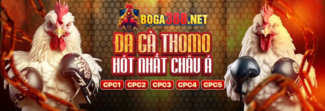 Đá Gà Trực Tuyến Hàng Đầu tại ga 13 net